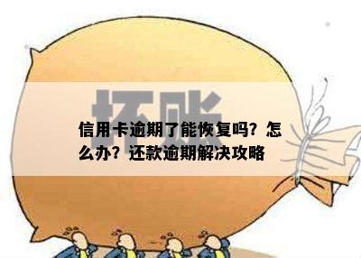 信用卡逾期了能恢复吗？怎么办？还款逾期解决攻略