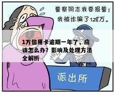 1万信用卡逾期一年了，应该怎么办？影响及处理方法全解析