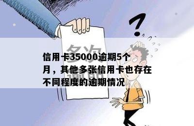 信用卡35000逾期5个月，其他多张信用卡也存在不同程度的逾期情况