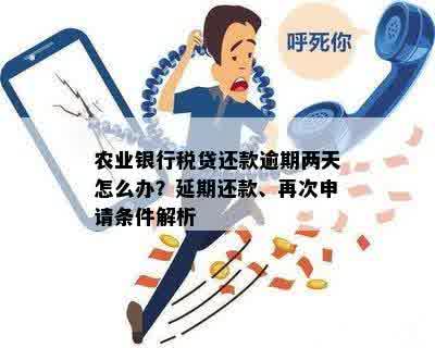 农业银行税贷还款逾期两天怎么办？延期还款、再次申请条件解析