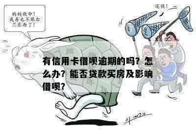 有信用卡借呗逾期的吗？怎么办？能否贷款买房及影响借呗？