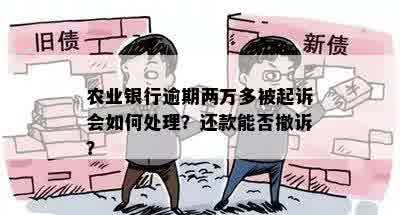 农业银行逾期两万多被起诉会如何处理？还款能否撤诉？