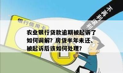 农业银行贷款逾期被起诉了如何调解？房贷半年未还、被起诉后该如何处理？