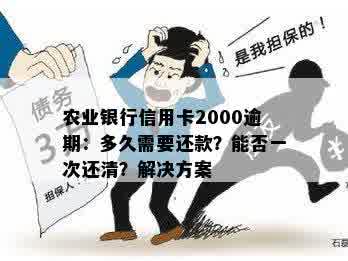 农业银行信用卡2000逾期：多久需要还款？能否一次还清？解决方案