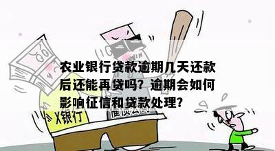 农业银行贷款逾期几天还款后还能再贷吗？逾期会如何影响征信和贷款处理？