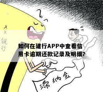 如何在建行APP中查看信用卡逾期还款记录及明细？