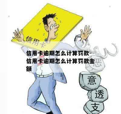 信用卡逾期怎么计算罚款-信用卡逾期怎么计算罚款金额