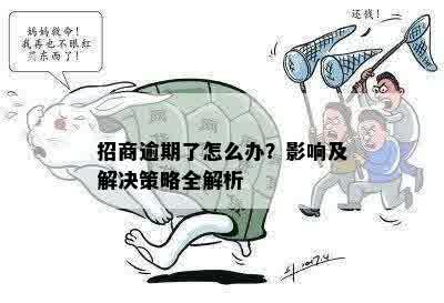 招商逾期了怎么办？影响及解决策略全解析