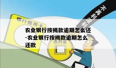 农业银行按揭款逾期怎么还-农业银行按揭款逾期怎么还款