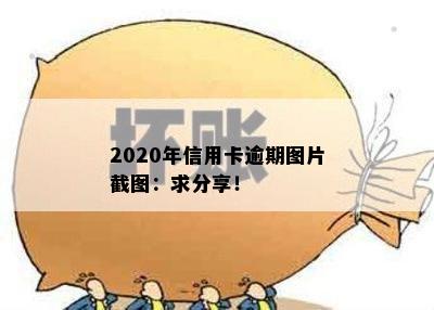 2020年信用卡逾期图片截图：求分享！