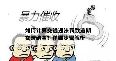 如何计算交通违法罚款逾期交滞纳金？详细步骤解析