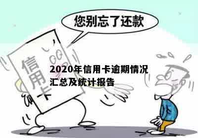 2020年信用卡逾期情况汇总及统计报告