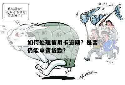 如何处理信用卡逾期？是否仍能申请贷款？