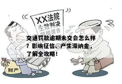 交通罚款逾期未交会怎么样？影响征信、产生滞纳金，了解全攻略！