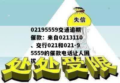 02195559交通逾期催款：来自0213110、交行021和021-95559的催款电话让人困扰