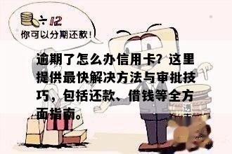 逾期了怎么办信用卡？这里提供最快解决方法与审批技巧，包括还款、借钱等全方面指南。