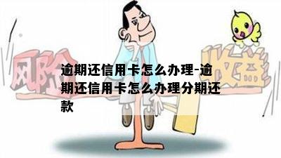 逾期还信用卡怎么办理-逾期还信用卡怎么办理分期还款