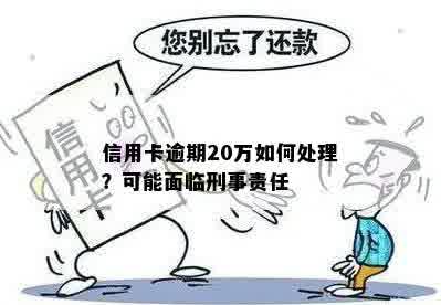 信用卡逾期20万如何处理？可能面临刑事责任