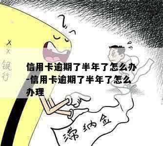 信用卡逾期了半年了怎么办-信用卡逾期了半年了怎么办理