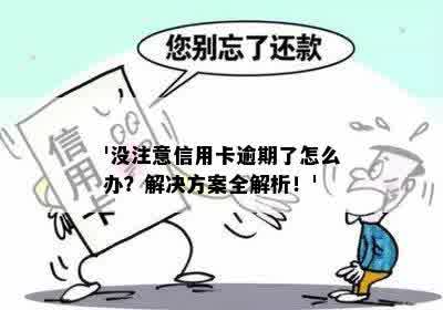 '没注意信用卡逾期了怎么办？解决方案全解析！'