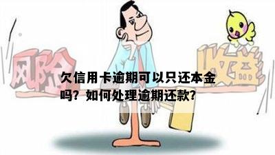 欠信用卡逾期可以只还本金吗？如何处理逾期还款？