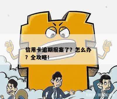 信用卡逾期报案了？怎么办？全攻略！