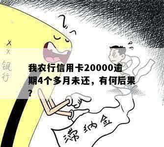 我农行信用卡20000逾期4个多月未还，有何后果？