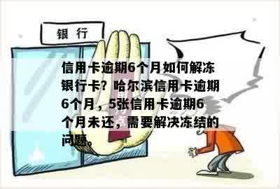 信用卡逾期6个月如何解冻银行卡？哈尔滨信用卡逾期6个月，5张信用卡逾期6个月未还，需要解决冻结的问题。