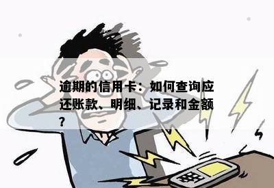 逾期的信用卡：如何查询应还账款、明细、记录和金额？