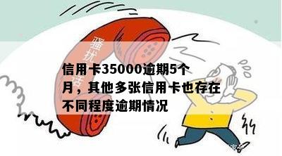 信用卡35000逾期5个月，其他多张信用卡也存在不同程度逾期情况