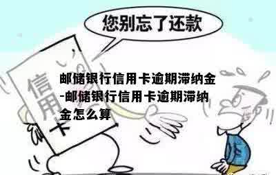 邮储银行信用卡逾期滞纳金-邮储银行信用卡逾期滞纳金怎么算