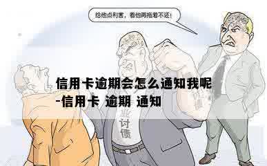 信用卡逾期会怎么通知我呢-信用卡 逾期 通知