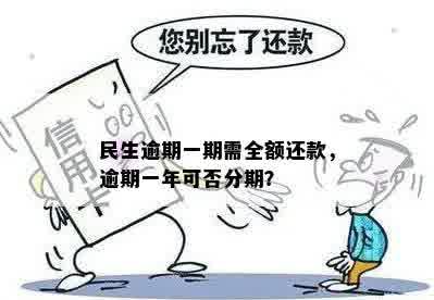 民生逾期一期需全额还款，逾期一年可否分期？