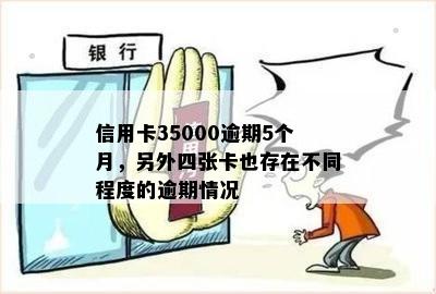 信用卡35000逾期5个月，另外四张卡也存在不同程度的逾期情况