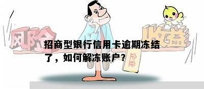 招商型银行信用卡逾期冻结了，如何解冻账户？