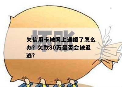 欠信用卡被网上通缉了怎么办？欠款80万是否会被追逃？