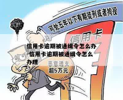 信用卡逾期被通缉令怎么办-信用卡逾期被通缉令怎么办理