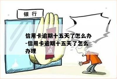 信用卡逾期十五天了怎么办-信用卡逾期十五天了怎么办理