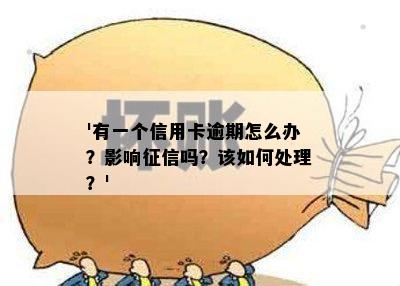 '有一个信用卡逾期怎么办？影响征信吗？该如何处理？'