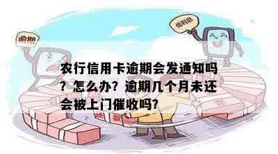 农行信用卡逾期会发通知吗？怎么办？逾期几个月未还会被上门催收吗？