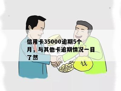 信用卡35000逾期5个月，与其他卡逾期情况一目了然