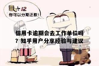 信用卡逾期会去工作单位吗？知乎用户分享经验与建议