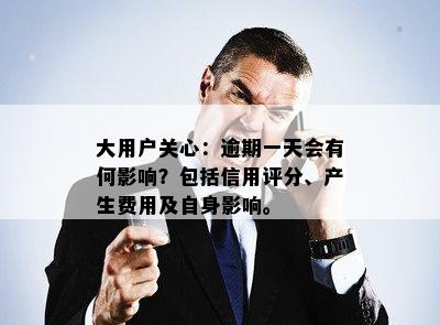 大用户关心：逾期一天会有何影响？包括信用评分、产生费用及自身影响。