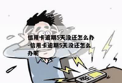 信用卡逾期5天没还怎么办-信用卡逾期5天没还怎么办呢