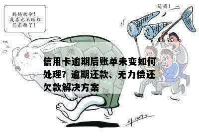 信用卡逾期后账单未变如何处理？逾期还款、无力偿还欠款解决方案