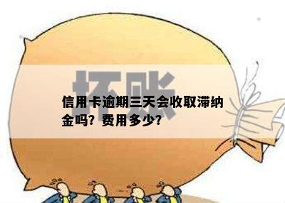 信用卡逾期三天会收取滞纳金吗？费用多少？