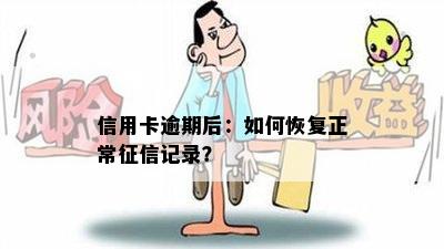 信用卡逾期后：如何恢复正常征信记录？