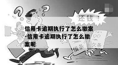 信用卡逾期执行了怎么撤案-信用卡逾期执行了怎么撤案呢