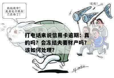 打电话来说信用卡逾期：真的吗？会冻结夫妻财产吗？该如何处理？