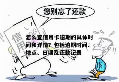 怎么查信用卡逾期的具体时间和详情？包括逾期时间、地点、日期及还款记录